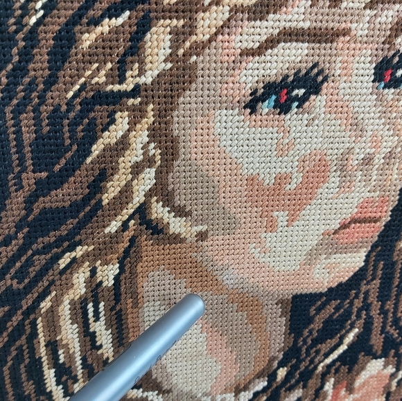 Vintage needlepoint framed wall art 14x18 inches - Picture 6 of 15